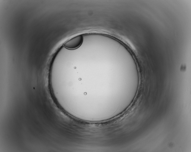 X0000103331504200809051010