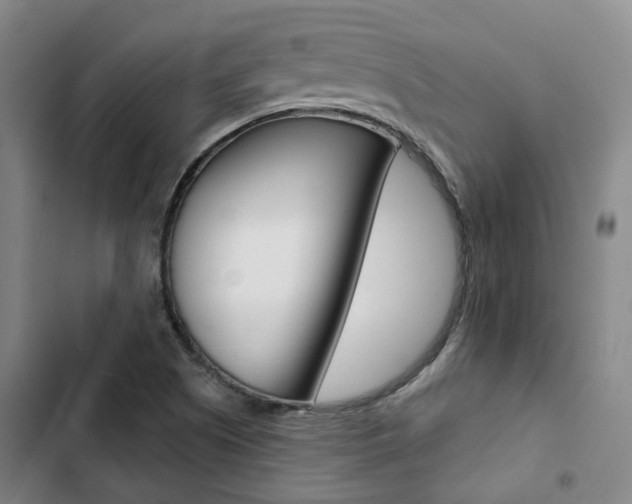 X0000103331505200809051010
