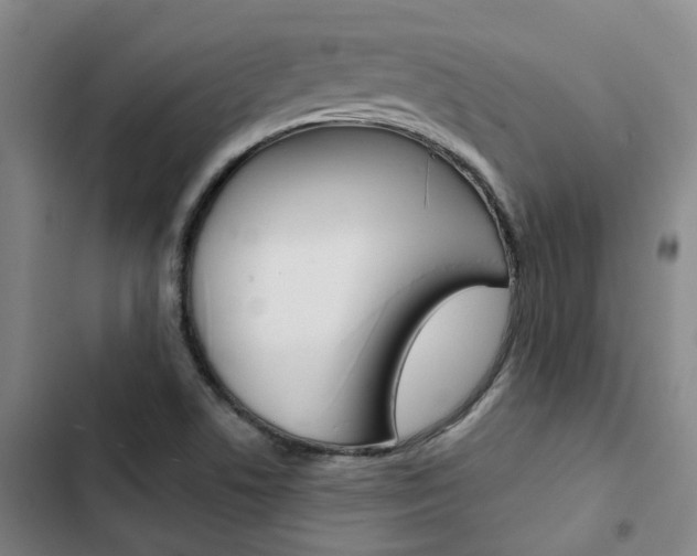X0000103331506200809051010