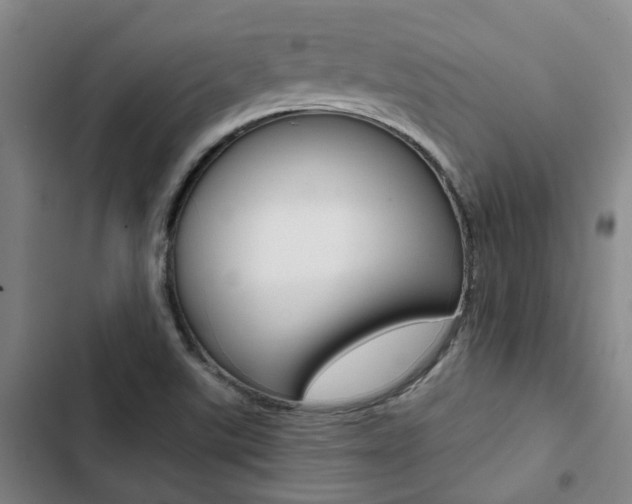 X0000103331507200809051010