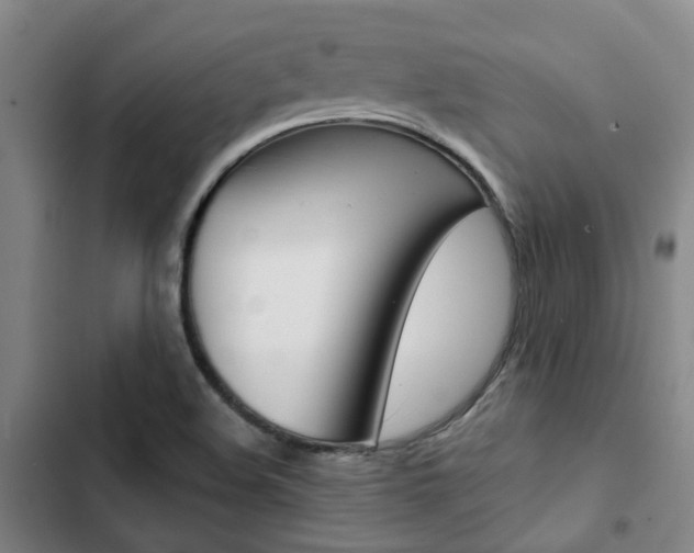 X0000103331508200809051010