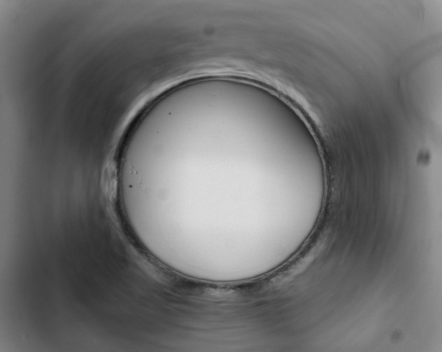 X0000103331509200809051010