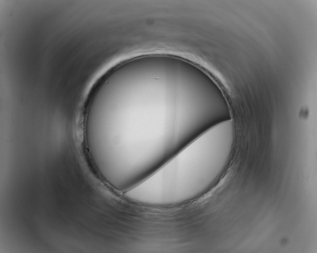 X0000103331510200809051010