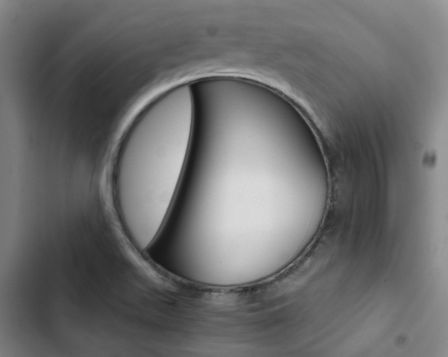 X0000103331511200809051010