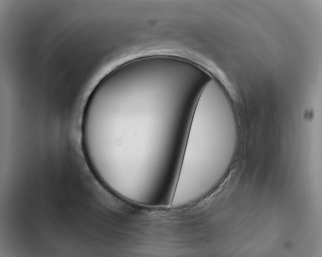X0000103331512200809051010