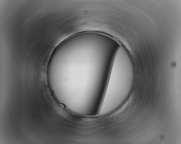 X0000103331513200809051010