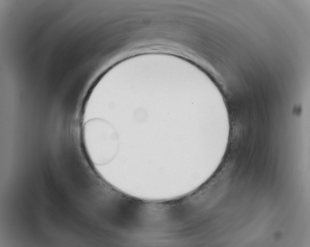 X0000103331514200809051010