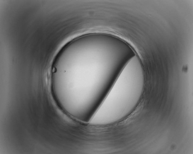 X0000103331515200809051010