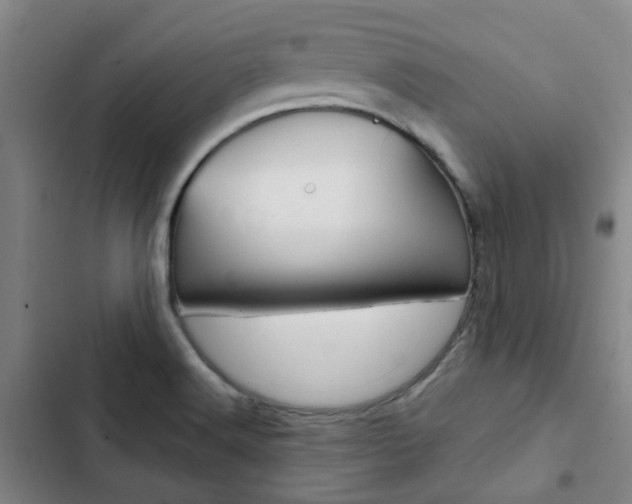 X0000103331516200809051010