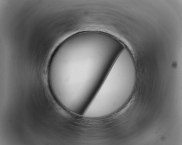 X0000103331517200809051010