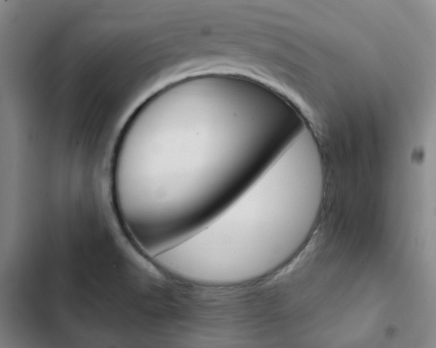 X0000103331518200809051010