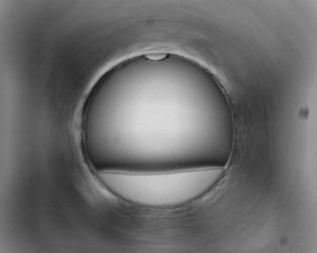 X0000103331519200809051010