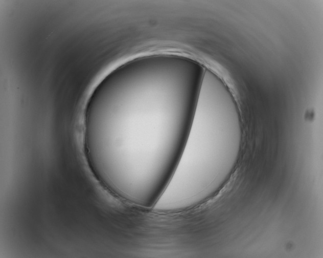 X0000103331520200809051010