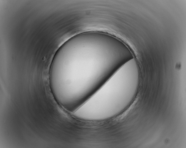 X0000103331521200809051010
