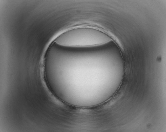 X0000103331522200809051010