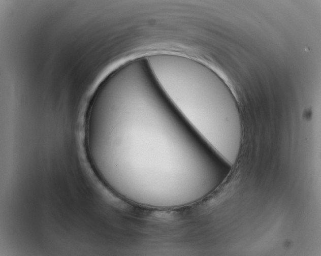 X0000103331523200809051010