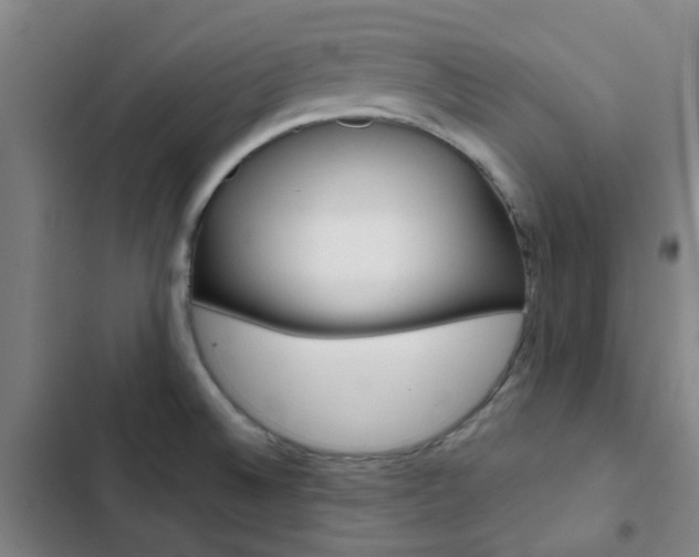 X0000103331524200809051010