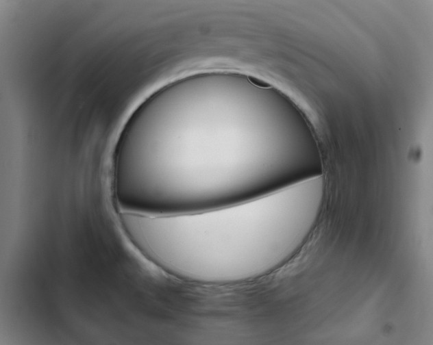 X0000103331527200809051010