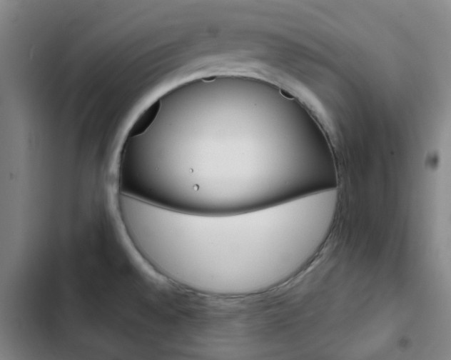 X0000103331528200809051010