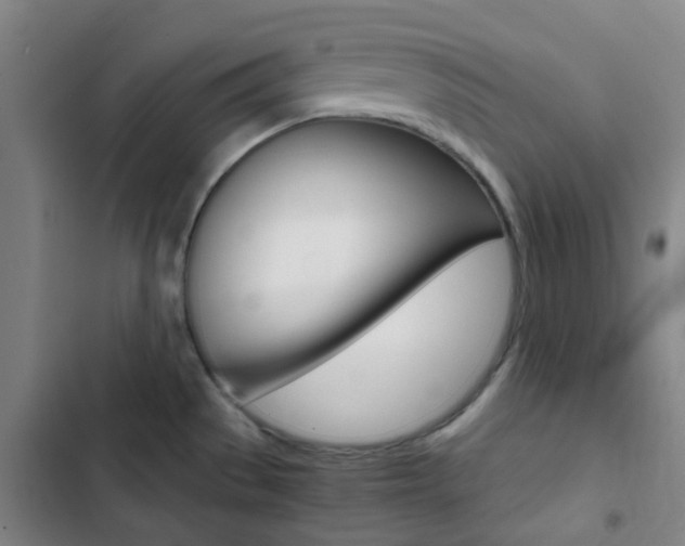 X0000103331529200809051010