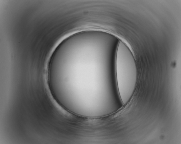 X0000103331531200809051010