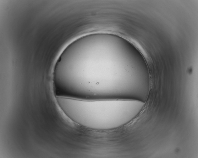 X0000103331532200809051010