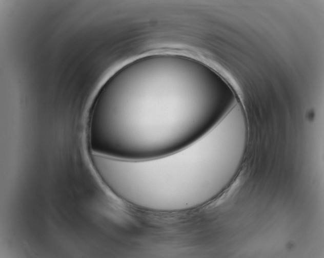 X0000103331533200809051010