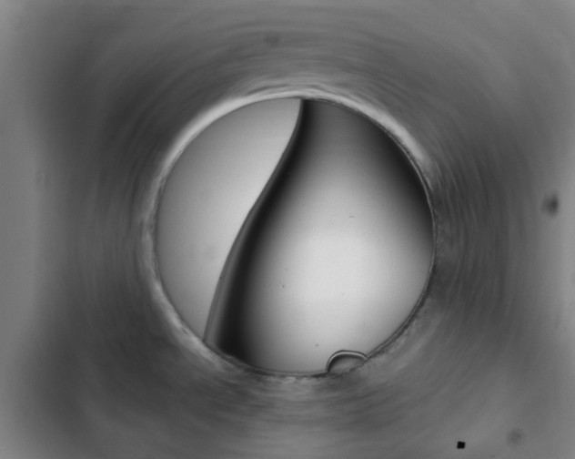 X0000103331534200809051010