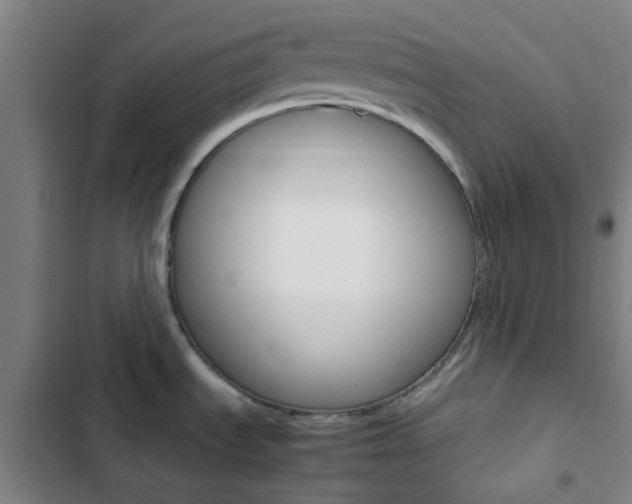 X0000103331535200809051010