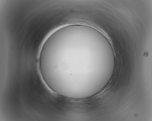 X0000103331536200809051010