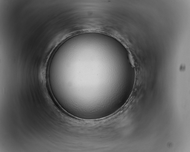 X0000103330002200809051221