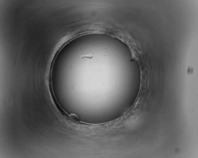 X0000103330003200809051221