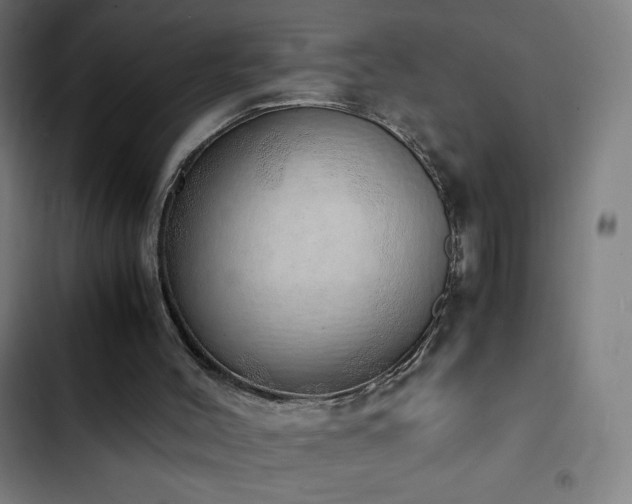 X0000103330004200809051221