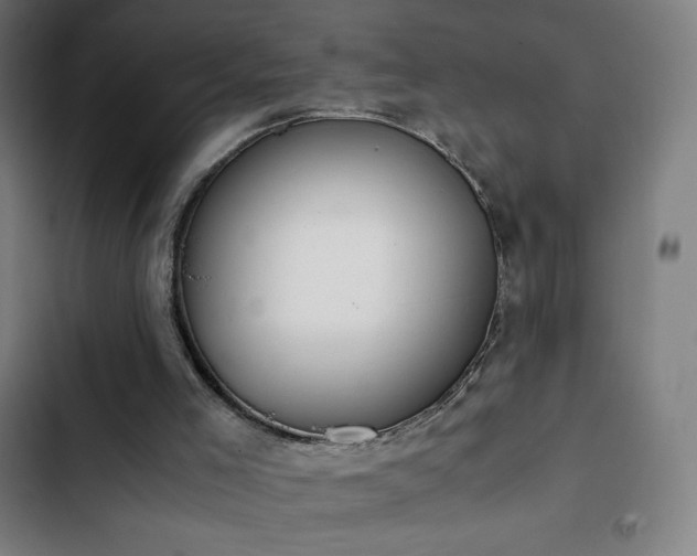 X0000103330005200809051221