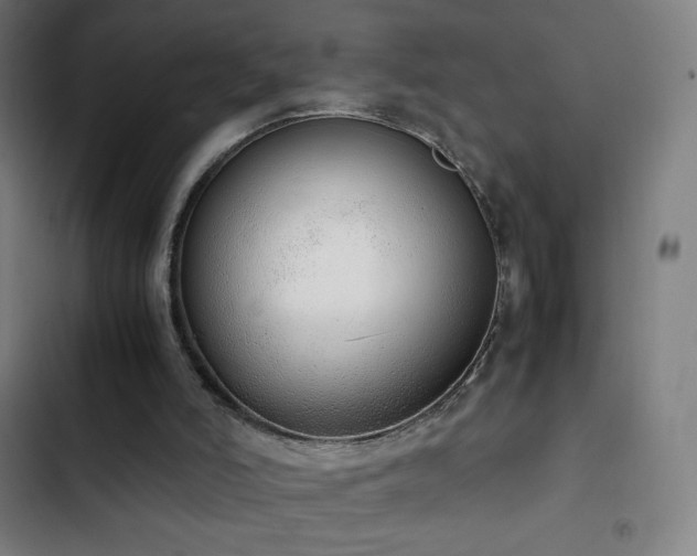 X0000103330006200809051221