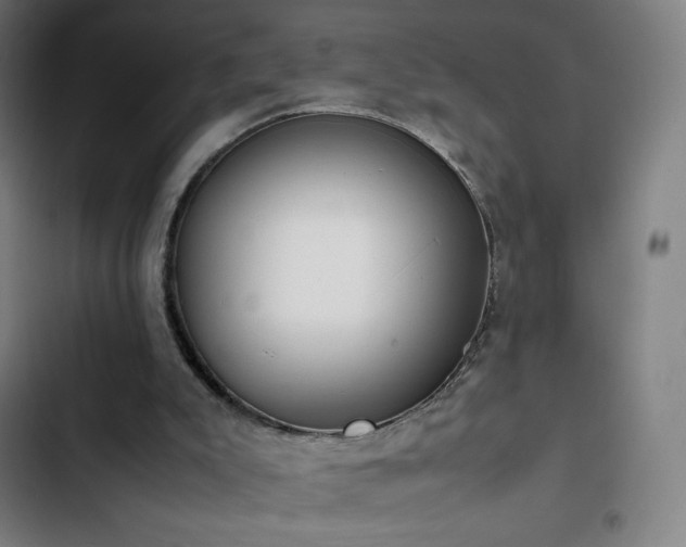 X0000103330007200809051221