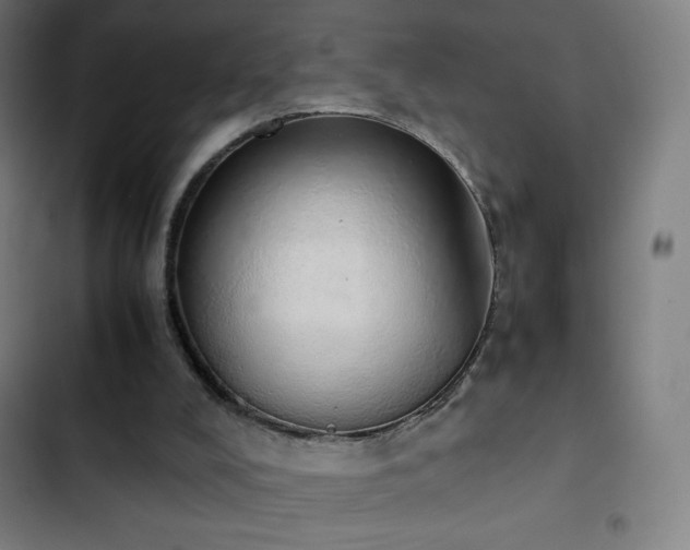 X0000103330008200809051221