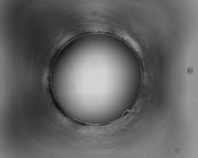 X0000103330009200809051221