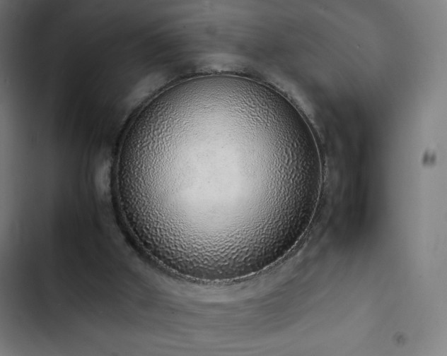 X0000103330010200809051221