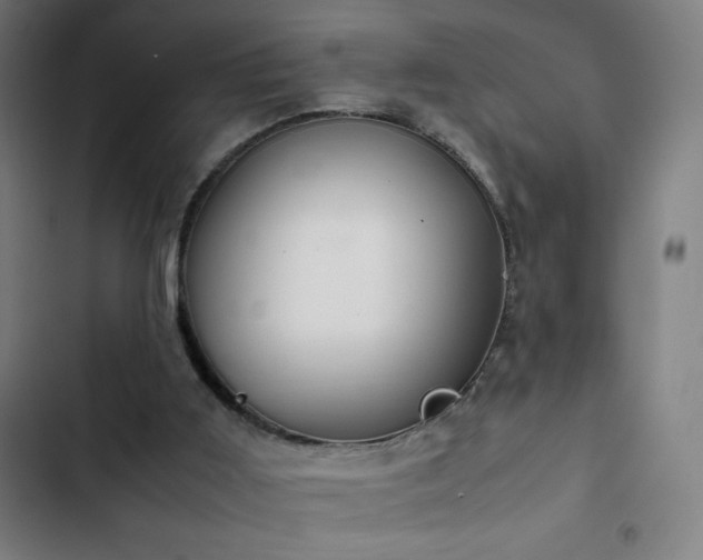 X0000103330011200809051221