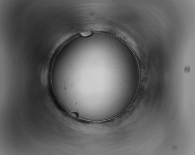 X0000103330012200809051221