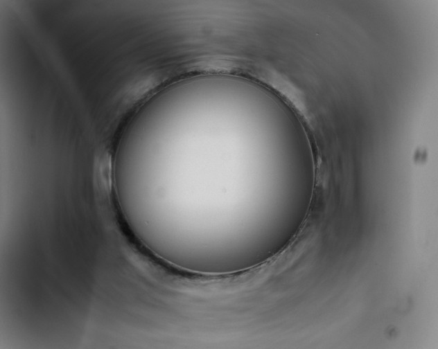 X0000103330013200809051221