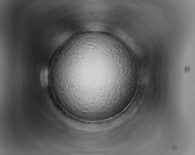 X0000103330014200809051221