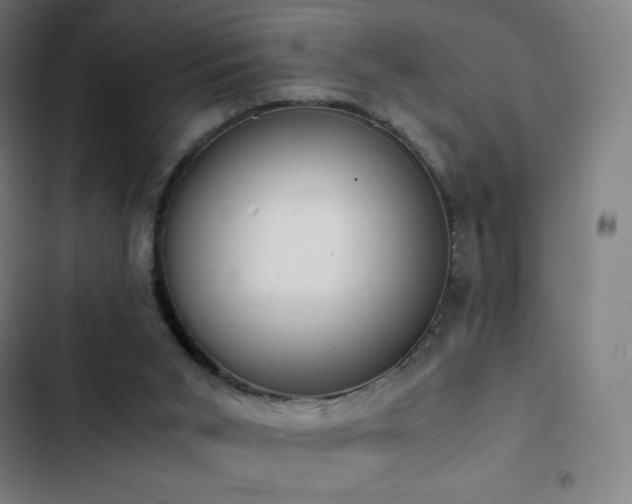 X0000103330015200809051221