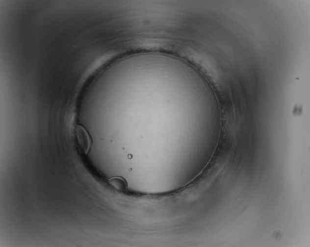 X0000103330016200809051221