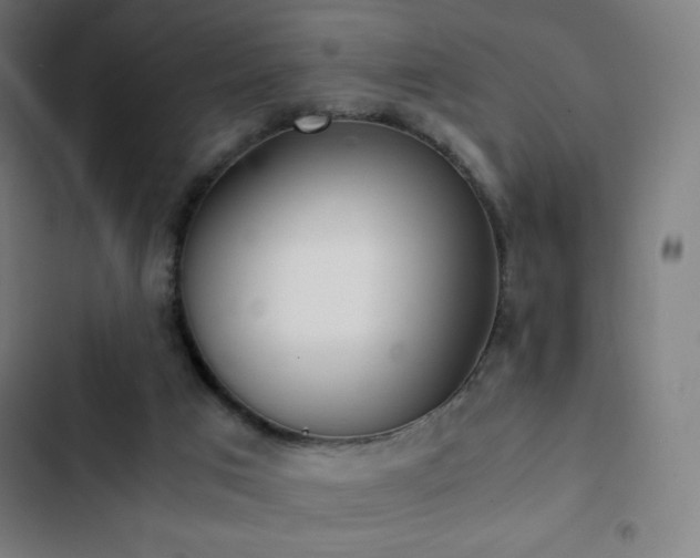 X0000103330017200809051221