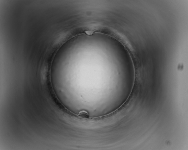 X0000103330018200809051221