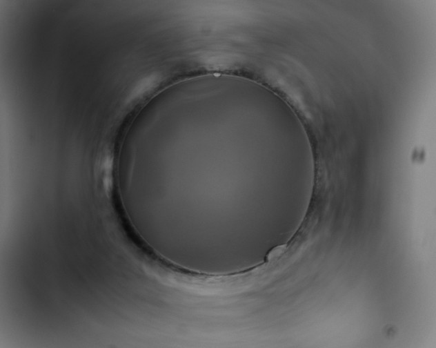 X0000103330019200809051221