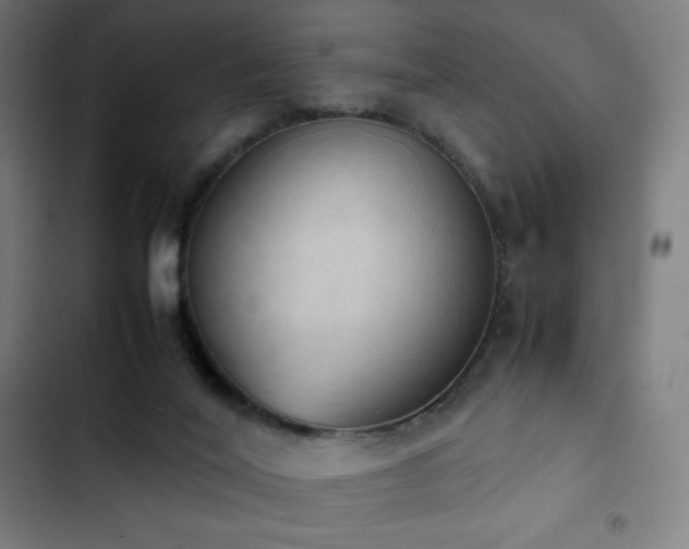 X0000103330020200809051221