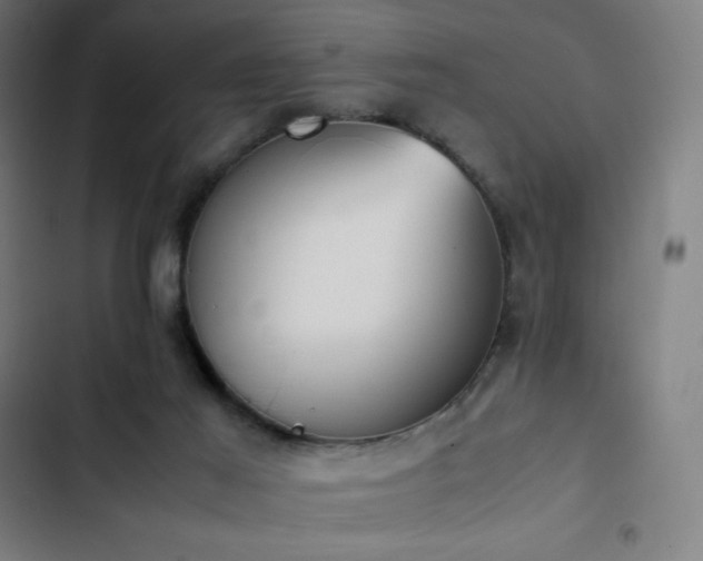 X0000103330021200809051221